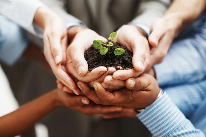 rsz_istock_hands_holding_seedling_in_a_group